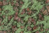 Pyrope, Forsterite, Diopside & Omphacite Slice - Norway #131445-1
